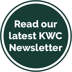 circle btn newsletter